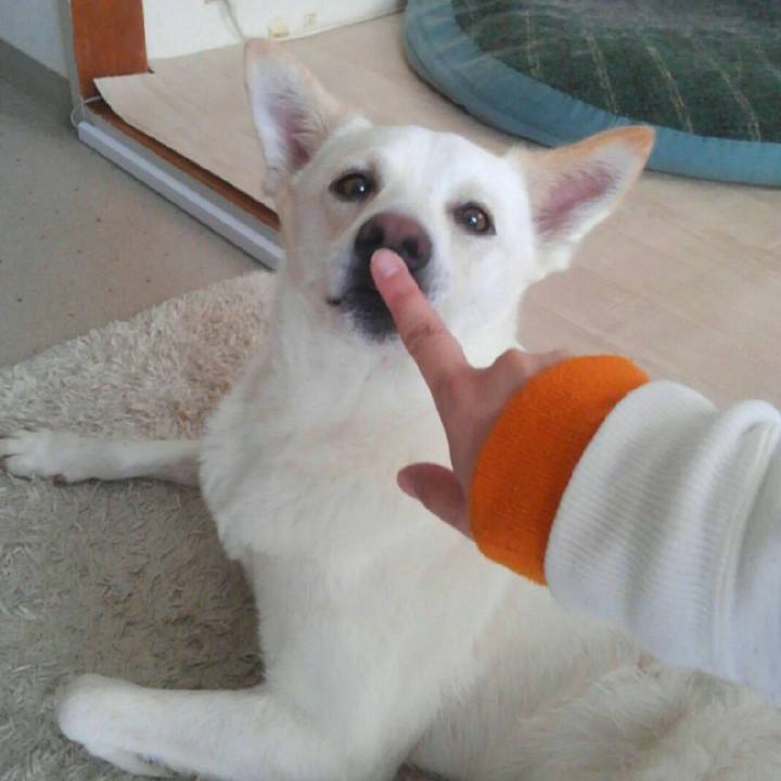 8184a00a 2a85 41e5 8e1e 23fd6454624b