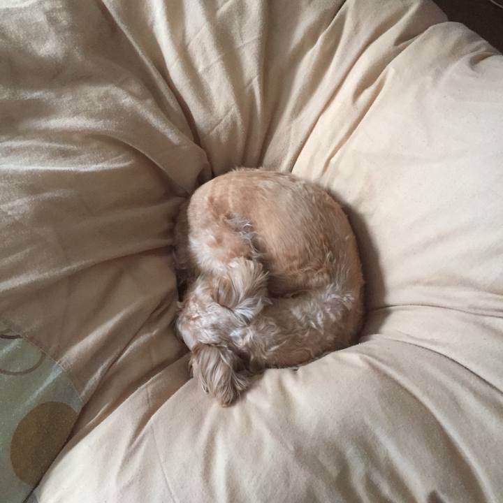 8184a1a1 aa04 47b0 b2a7 002c1eac327f