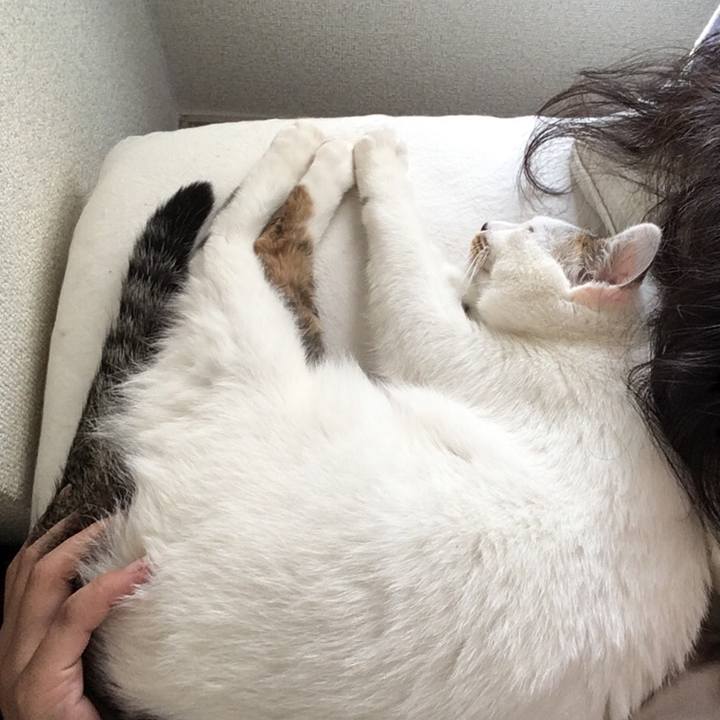 8184e8ee 0c6d 4a2d 82f1 2351290c22d0