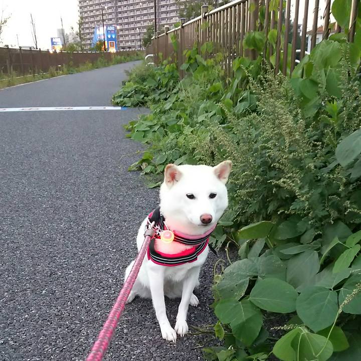 8184e9b9 a8d4 422f 8894 12b52f6bbfad