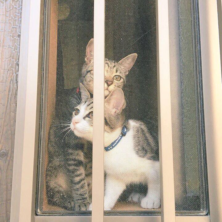 81852f86 2ce5 4d72 b08a 0f75970ac6fe