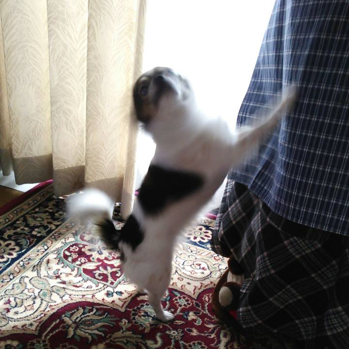 81859bbe bdee 4b87 a989 77a692b9074e