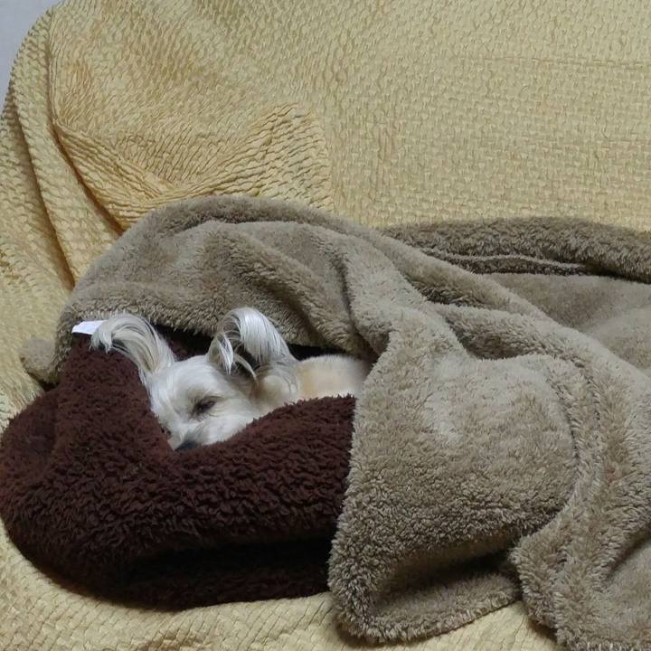 8185bdaf 769c 43b0 bffd 7a3186e4b249