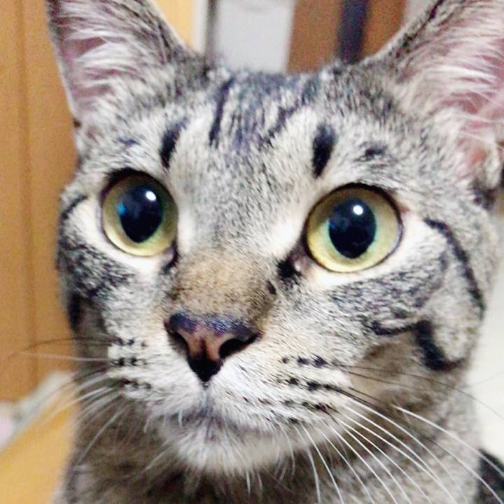 818654fa 24f9 4617 aa0b 3cb721178e88