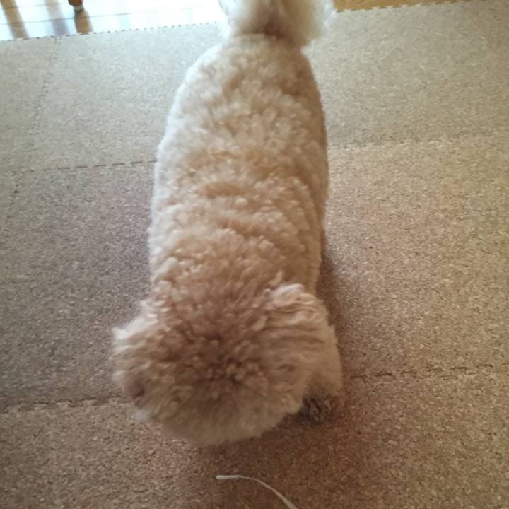 8187e30b e477 4b80 ac5a b2a3c237a734