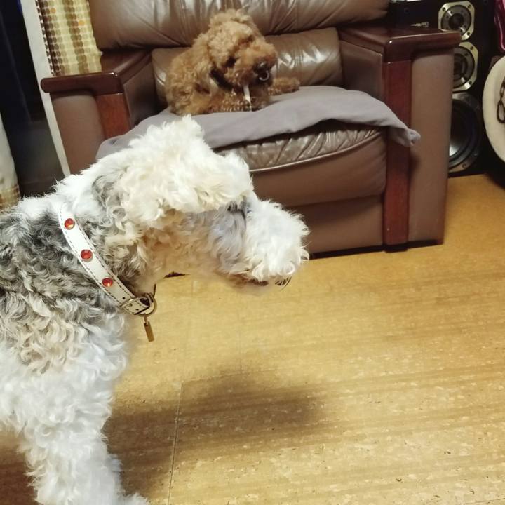 8187f298 3ccb 46c2 87fe 7d44c4dc8637