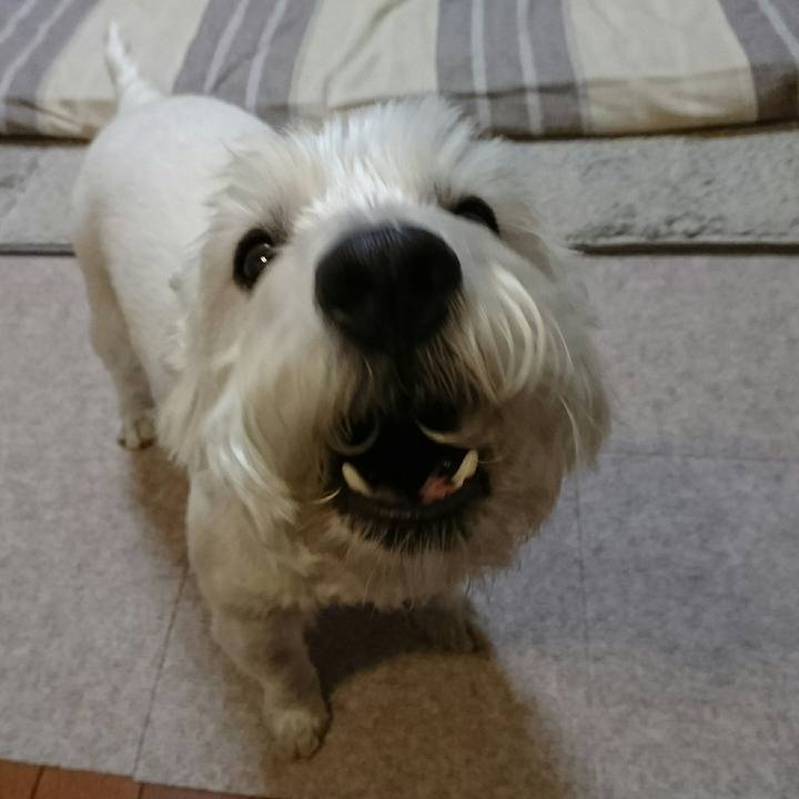 8188380c 4d8a 406f a63d 1d6c4f5bfc52