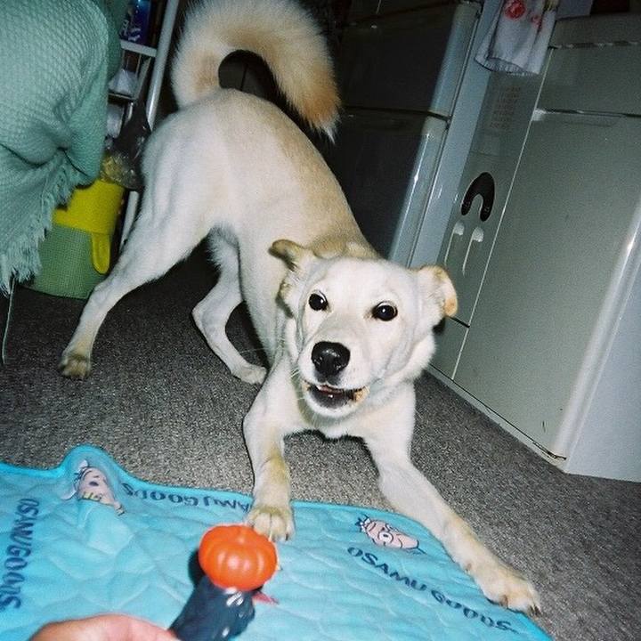 818844cf a333 48c1 983b 6a6836a5aee8