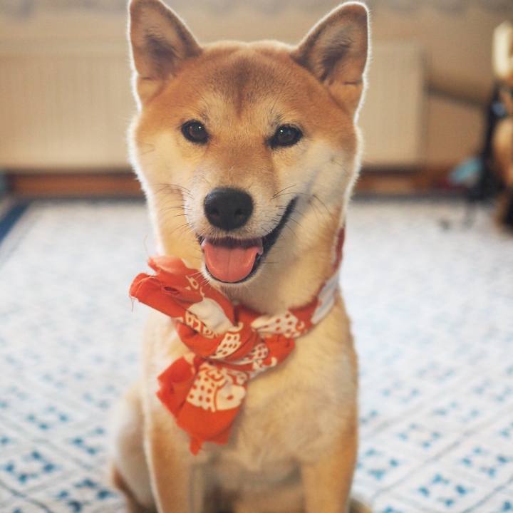 8188ead7 91e7 47e7 a61b c0206bfb96e1