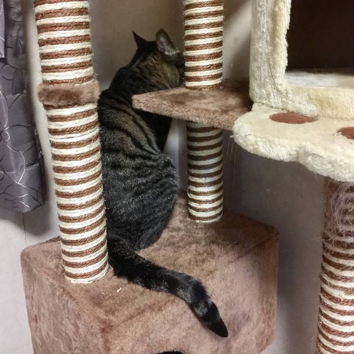 8188eb50 ce8d 42f5 819f d5da9ed19b25