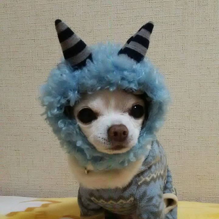 81890568 ebe2 4a02 af9a 90b6844545c7