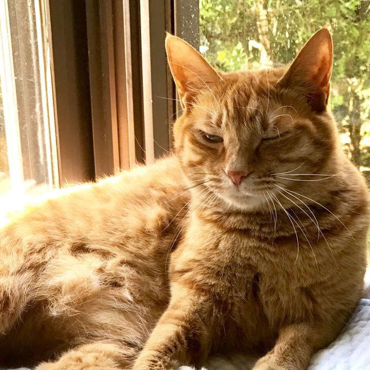 81898f32 efb4 46e5 be00 449ff94ac0ec