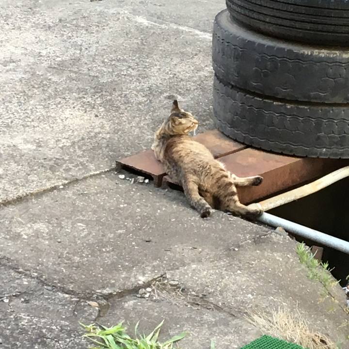 8189a9ca 350f 4d1a ac34 a50935e8c3cc