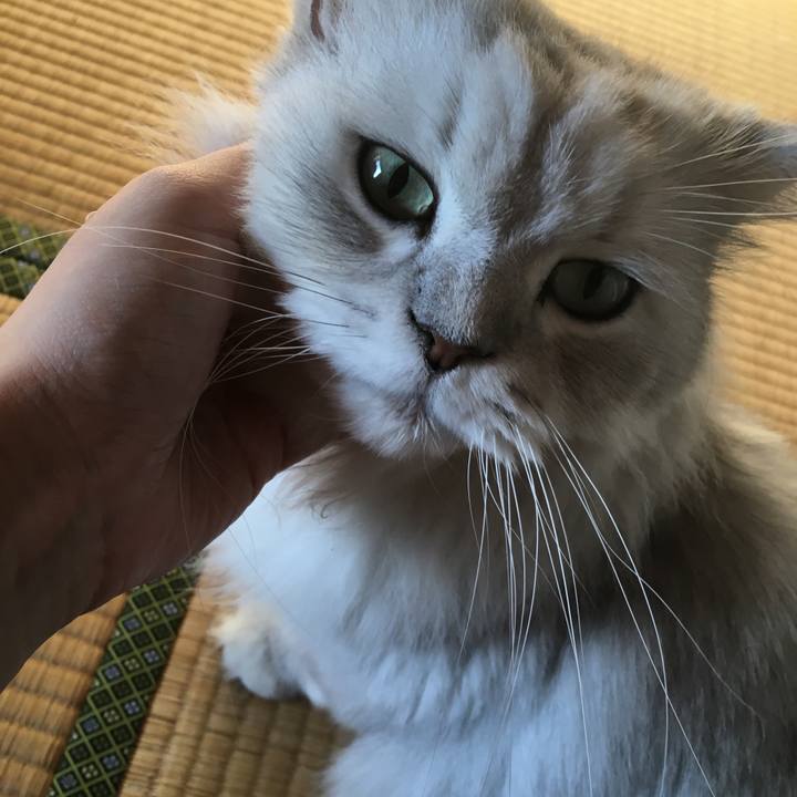 818ab4eb 0f69 4f1c a2c2 2f4dda3d68b3