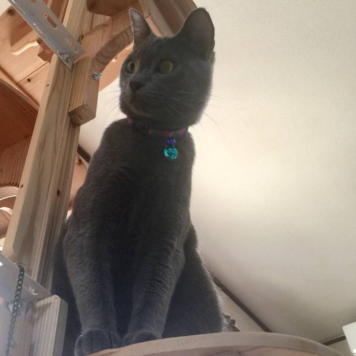 818b4f2f 9f01 4807 bf97 80257c5d178c