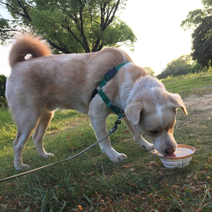 818c587e b9f8 4f14 86c6 8a1027a84fd9