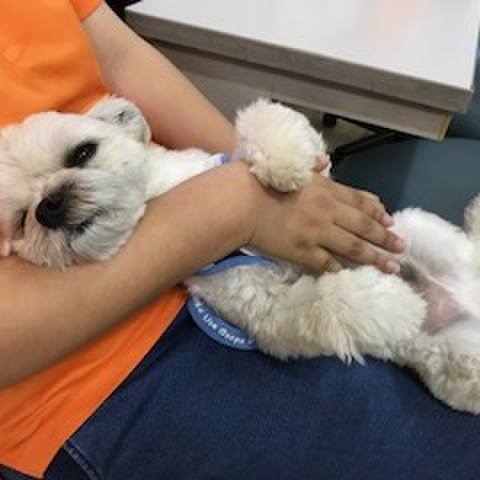 818cde28 bcc2 490c a46b a270ab4530b8