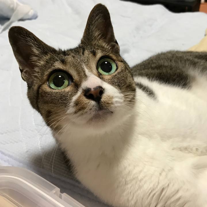 818d6b21 1665 4e46 990b 6c9ac119ca7d