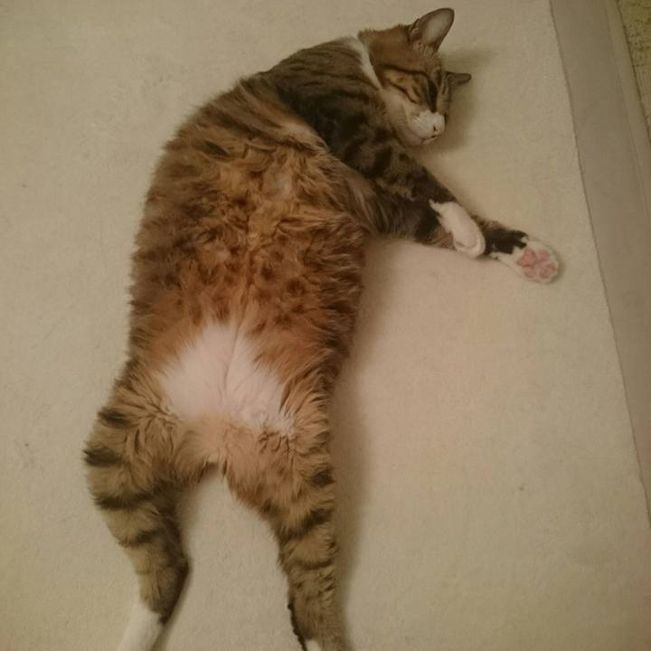 818d72d7 5726 48cb b54c 1b4e3a2fb259