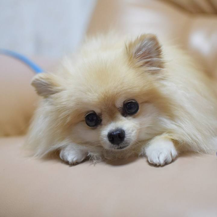 818d7a8d e3e4 471e 92b9 db8ae8928e87