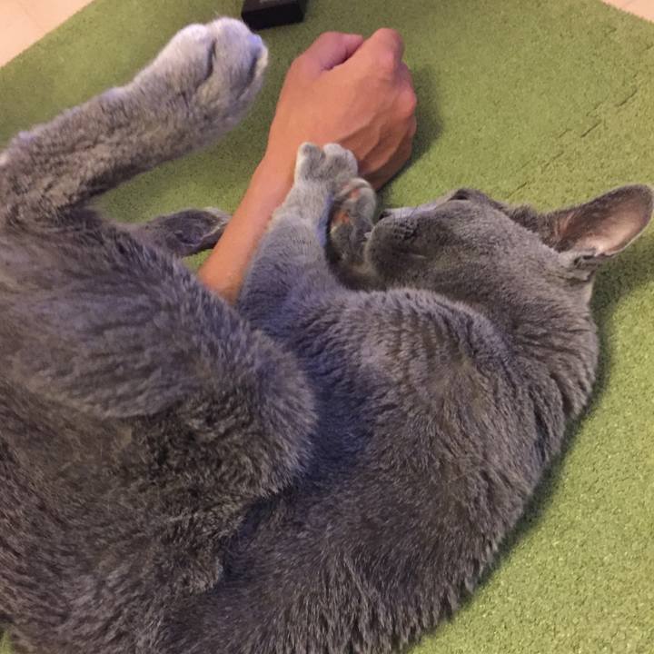 818d805b ce31 4e3c 8471 7b63bf9a88be