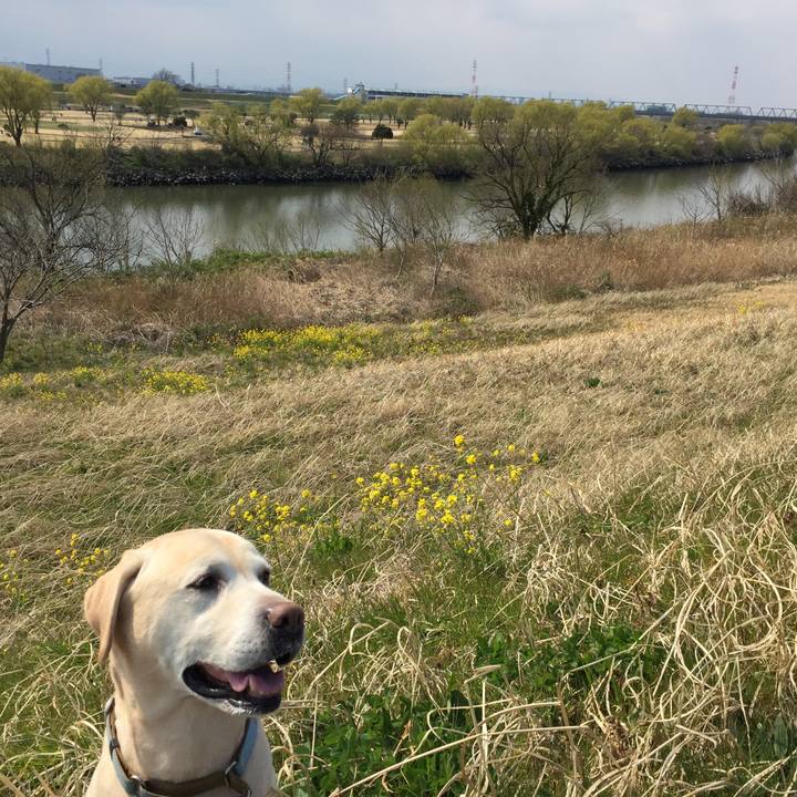 818e01b5 fbc5 4055 8ce2 2c8885a179cb