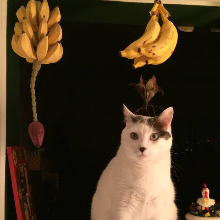 818e4b90 7f79 400a 8bc3 11282eab3515