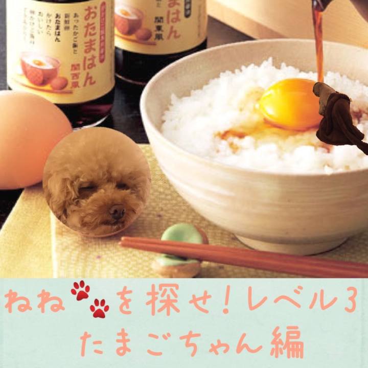 818e6f02 8056 42c4 9a10 06f3bbb42b82