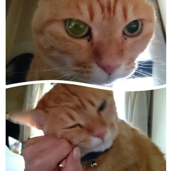 818ea75b 3217 4a49 a1db 57f8c3a904dc