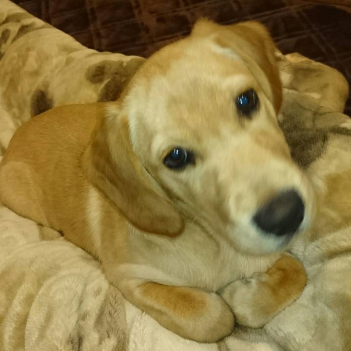 818f1ae7 5184 4bd5 b8c0 bd2c059d6f31