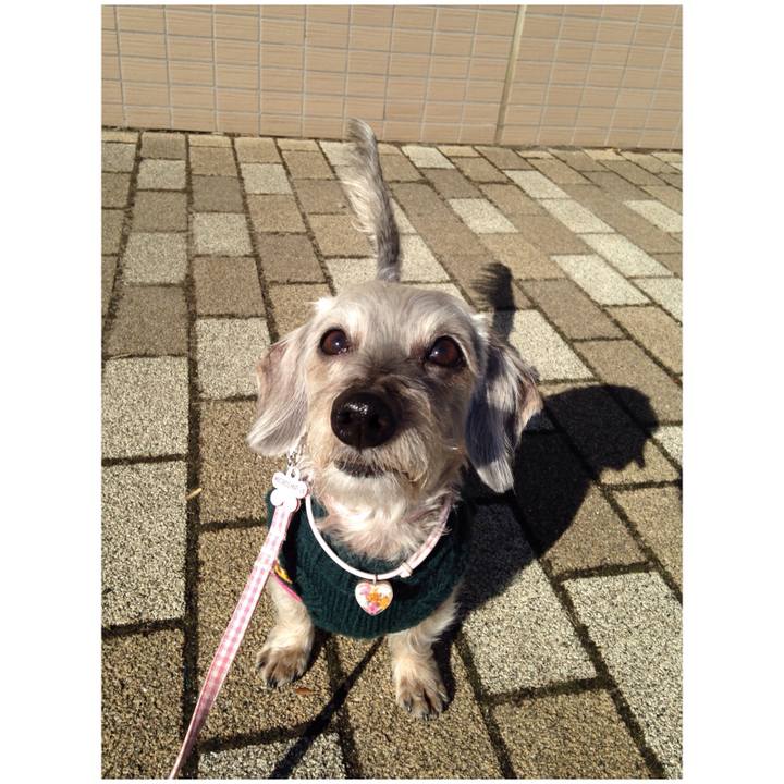 818f6980 ea55 4c72 b926 079733f8a625