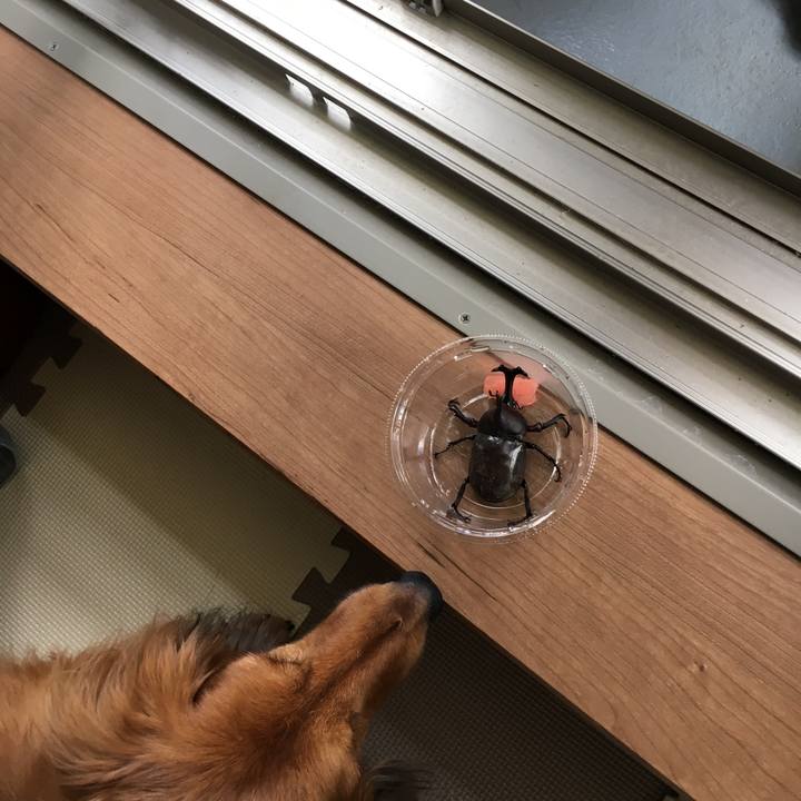 818f8716 c93c 47ca bc29 f901609db727