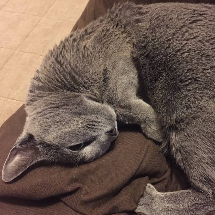 818fc499 be60 47c9 8493 5e225657135a