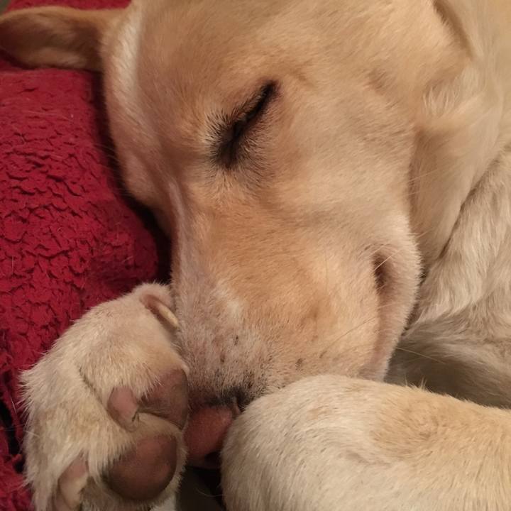 818fe5be 127c 492e aa8e 636a08c3fd89