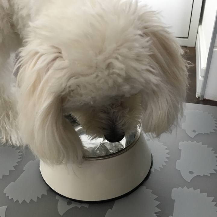 818ff416 b282 491b 9636 5359800bcef9