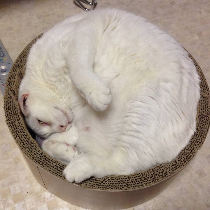 819030d0 d610 44b2 a697 f76f405e87ef