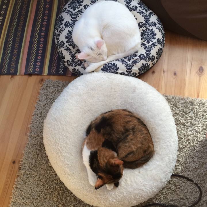 819044af 34f9 4baf 995f 709ecded2437