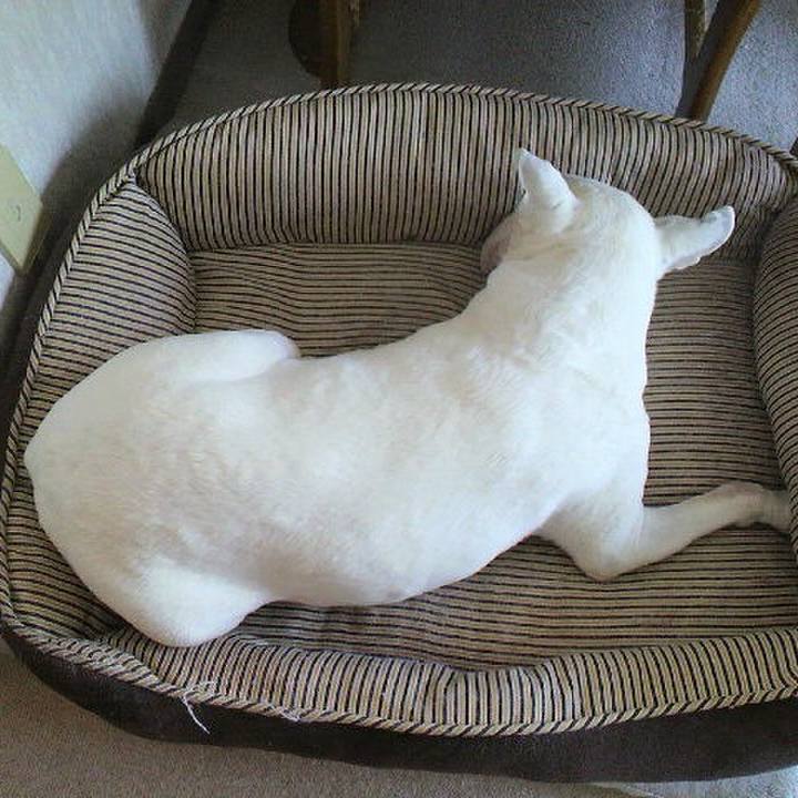 81909677 d99b 4783 85fa 04e78b3e5f5b