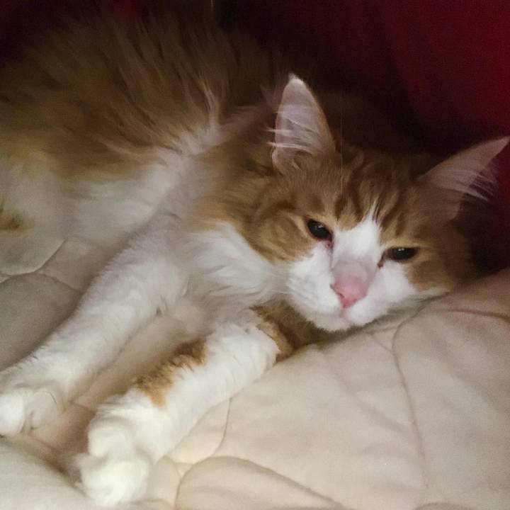 8190e541 ef0c 48c8 8a94 b1cb6691cb3d