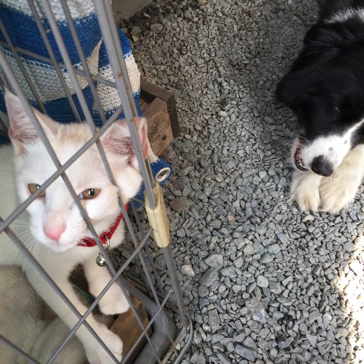 8190ef5b 5425 43f4 b89a 0870aeeb377b