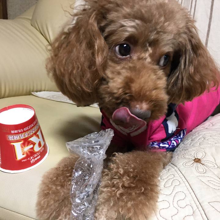 819229c5 c7f4 4e02 86a2 758f133c67d6