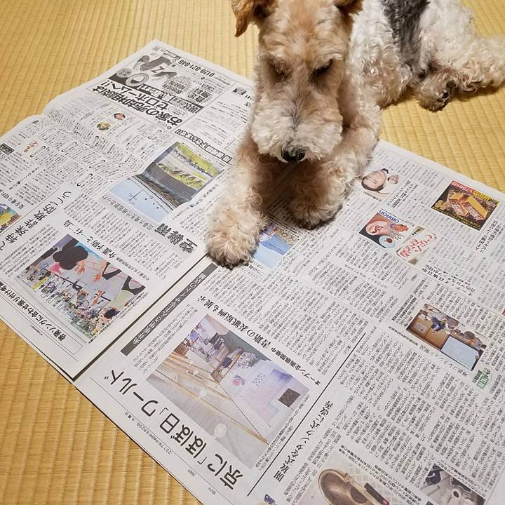 819284ab 68b8 4ee4 ae5e de97fe08b8f7