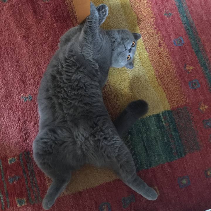 8192914c 91d9 4377 9a36 3fe1acaebc28