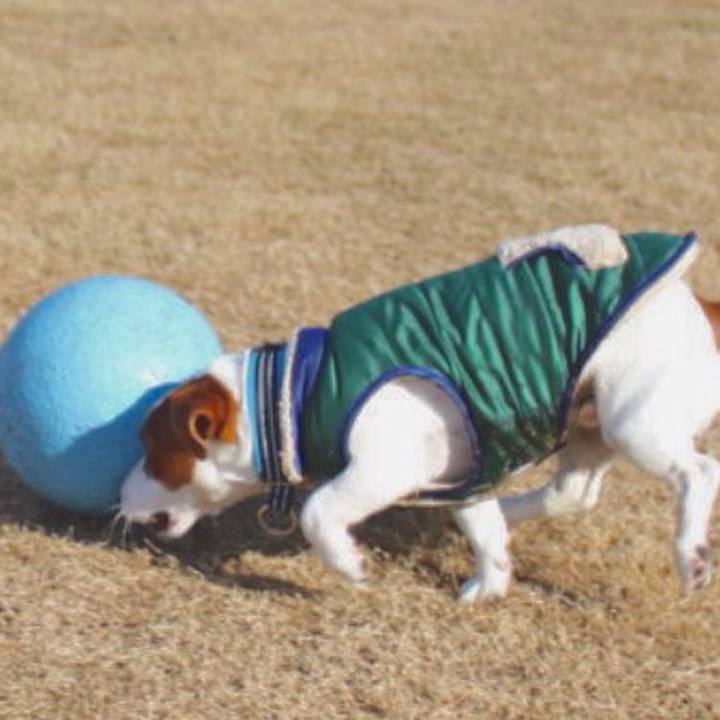 81929880 29f9 42a8 82c9 5d6c707c8732