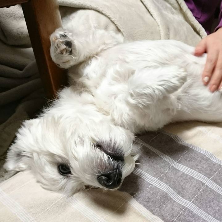 81933850 067e 4482 bf73 95e1d1345f12