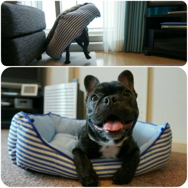 8193c4c2 a177 4778 acf4 5bd58bf01e3a