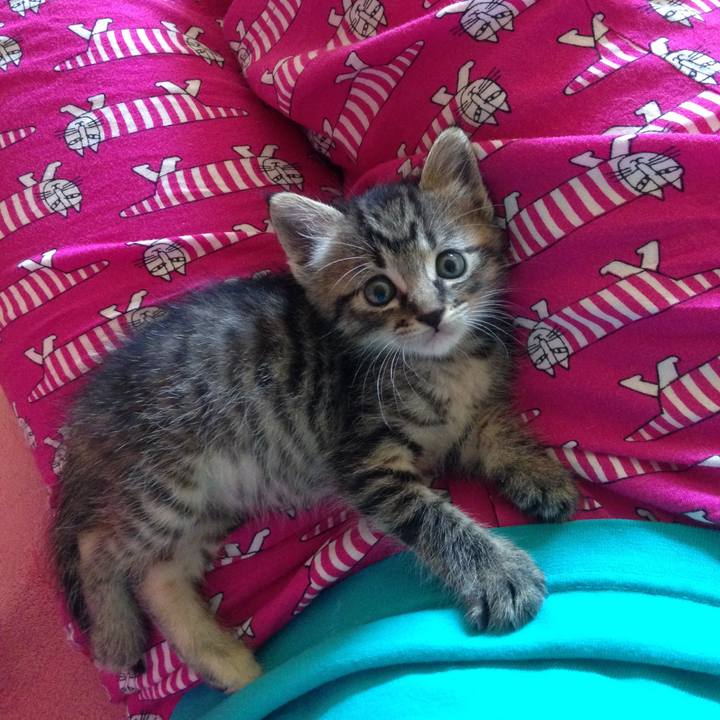 81949e9a 2d44 4c6c 97ed b66dd6936f59