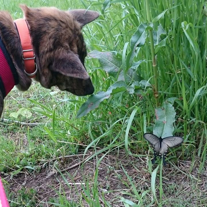 81954568 3773 416a a91d 15526c9cf548