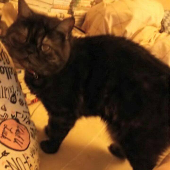 81955fe4 3d7f 466e 8892 c95e0223b52b