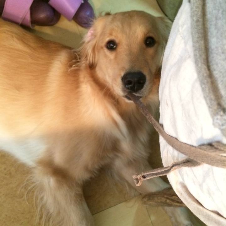 81957405 a17e 4985 b4d6 b809e79f1c7c